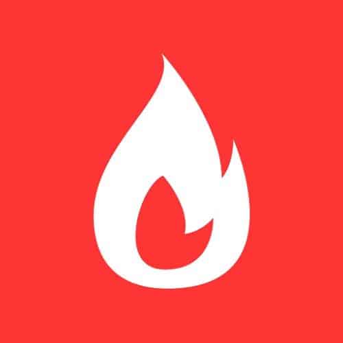 Logo App Flame