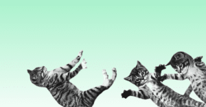 Una de las web más alucinantes sobre mascotas